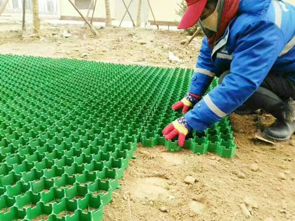 Grass trellis construction