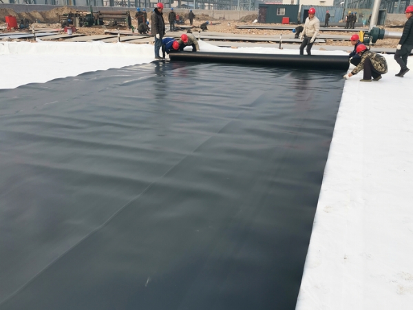 HDPE geomembrane