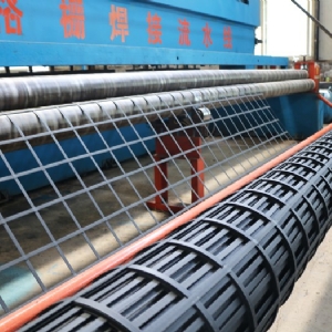 Steel plastic geogrid